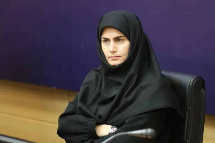 زنجان از ظرفیت‌های قابل توجهی برای توسعه تجارت با ترکیه برخوردار است