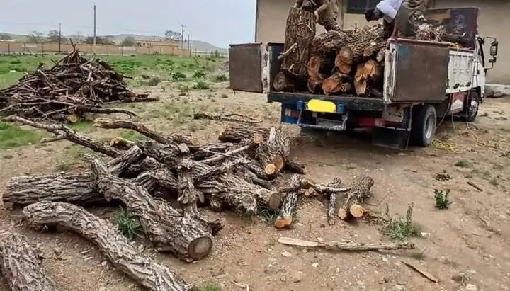 مانور سنگین مقابله با قاچاق چوب در غرب مازندران؛ جنگل‌ها در امنیت کامل!