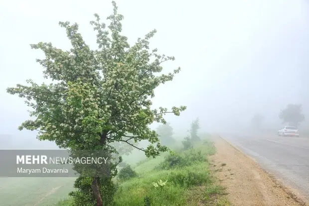 مه‌گرفتگی شدید در محورهای کلیدی ایلام؛ رانندگان مراقب باشند!