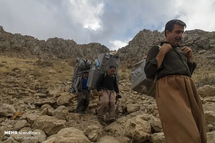 ۱۰ کالای جدید به لیست واردات کولبری اضافه شد؛ این فرصت طلایی را از دست ندهید!