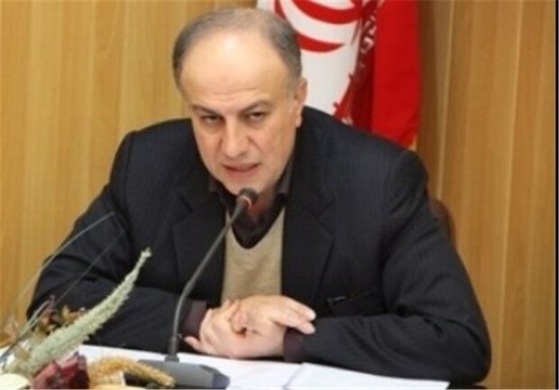 سهمیه پیله‌وری کردستان به ۳ میلیون دلار رسید؛ تغییرات مهم در تجارت کولبری