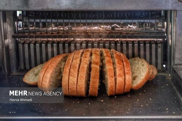پویش ملی تغذیه سالم آغاز شد؛ نگاهی جدی به نان و سلامت مردم
