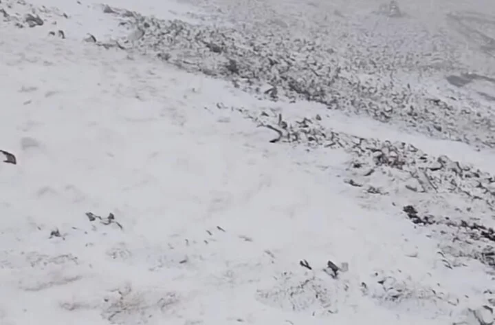 بارش اولین برف سال ۱۴۰۴ در منطقه تیکمه داش