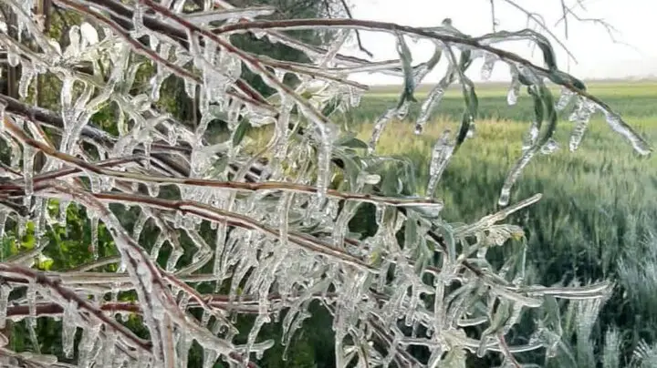 هشدار نارنجی هواشناسی در کهگیلویه و بویراحمد؛سردی زمستان به اوج می‌رسد
