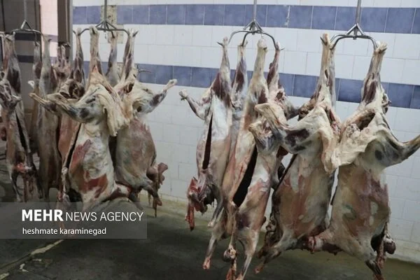 انهدام باند خطرناک توزیع گوشت‌های آلوده در اصفهان؛ تهدیدی جدی برای سلامت مردم!