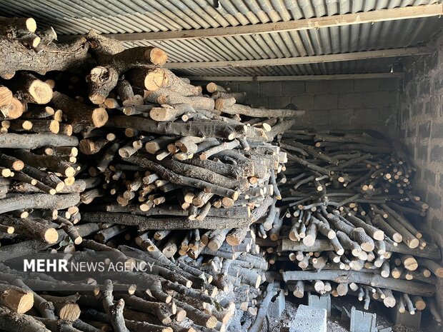 کشف حیرت‌انگیز ۲ تن چوب قاچاق در بهارستان توسط پلیس!