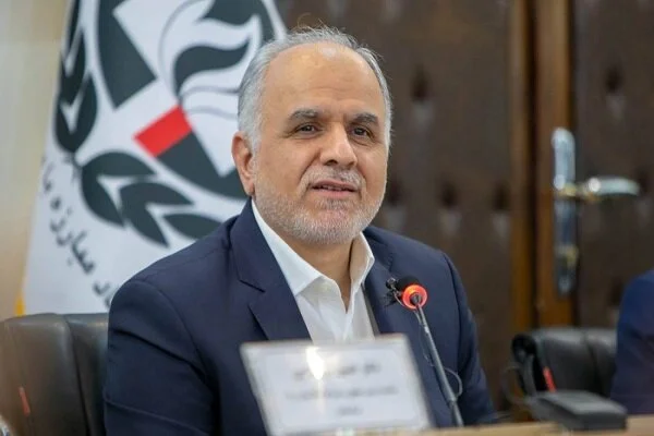 وزیر دادگستری: چرا پرداخت خسارات تصادفات هنوز با تأخیر مواجه است؟