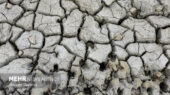 محیط زیست: تالاب بندعلیخان به خشکی مطلق رسید