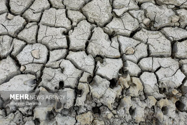 محیط زیست: تالاب بندعلیخان به خشکی مطلق رسید