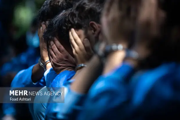 پلیس در ۳ روز ۱۳۳۶ سارق و ۸۲ مالخر را به دام انداخت؛ عملیات بی‌سابقه مقابله با سرقت‌های خرد