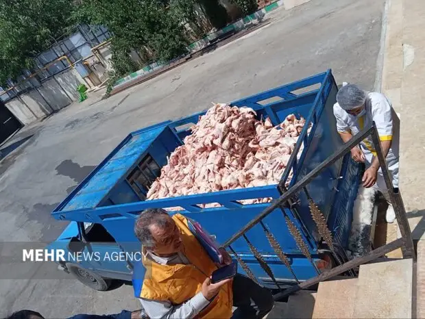 کشف ۱۵ تن فرآورده دامی فاسد در سردشت؛ پشت پرده گوشت‌های غیرمجاز فاش شد!