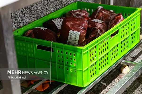 رکورد جدید در عرضه گوشت قرمز؛ بیش از ۴۳ هزار تن در کشتارگاه‌های رسمی کشور!