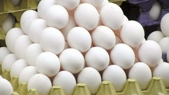 توقیف ۲ تن تخم مرغ بدون مجوز بهداشتی در کاشمر؛ تهدید سلامت مردم جدی است!