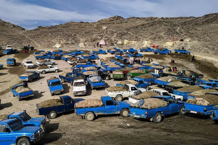 کشف حیرت‌انگیز ۴۷۸۰ لیتر سوخت قاچاق در اردستان؛ مأموران چگونه موفق شدند؟