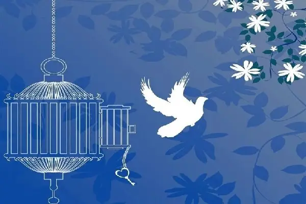 آزادی حیرت‌انگیز ۲۳۷ زندانی غیرعمد یزدی در ۹ ماه؛ رشد ۶۵ درصدی کمک‌های مردمی!