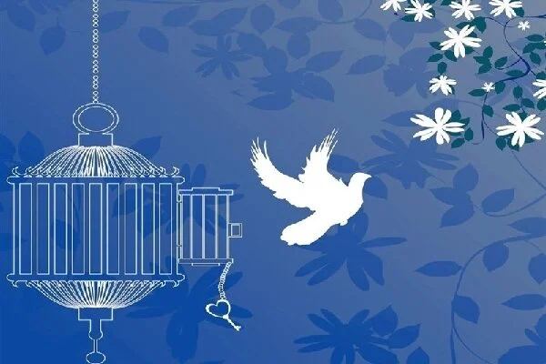 آزادسازی ۵ بانوی زندانی کاشان در شب ولادت حضرت زهرا؛ معجزه ای از گذشت و همدلی!