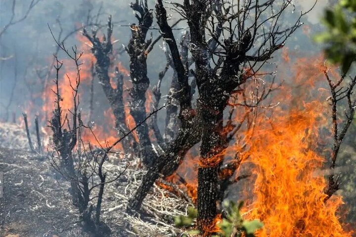 نیروهای منابع طبیعی چگونه آتش‌سوزی صعب‌العبور باغ‌شاه گرگان را مهار کردند؟