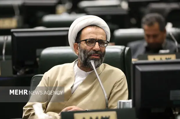 سلیمی: نمی‌توان بر اساس وعده‌های کلی دولت در مورد بودجه تصمیم گرفت