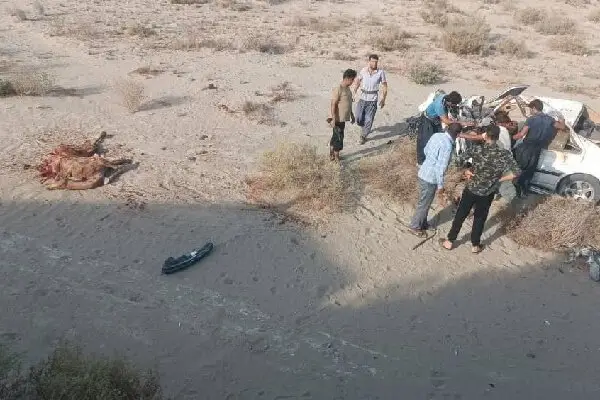 تصادف عجیب در محور زاهدان-زابل؛ ۶ شتر وارد میدان نبرد با دو خودرو شدند!