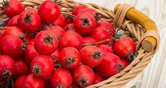 میوهای برای سلامت قلب و آرامش روان