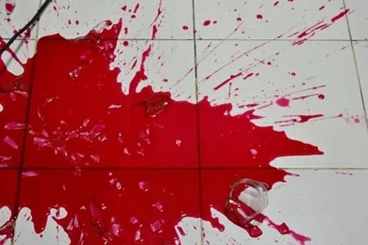 تیراندازی با سلاح شکاری در نوشهر؛ قتل و دستگیری سریع قاتل در کمتر از ۳ ساعت!