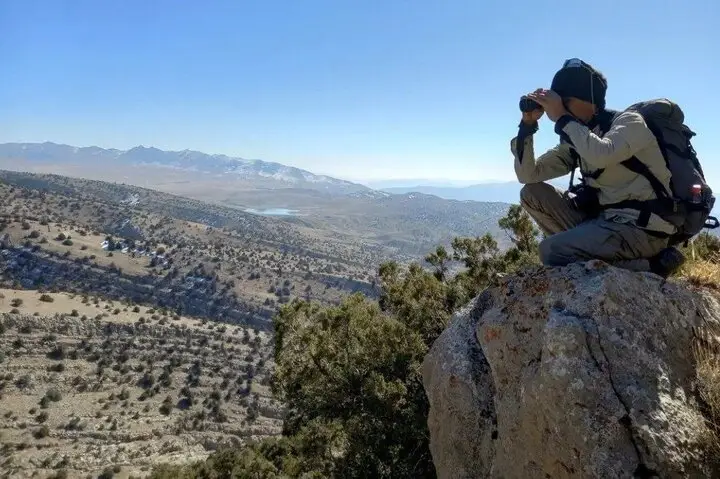 سرشماری تاریخی پستانداران وحشی مازندران؛ کشف ۵۰ مسیر جدید در کوهستان‌ها!