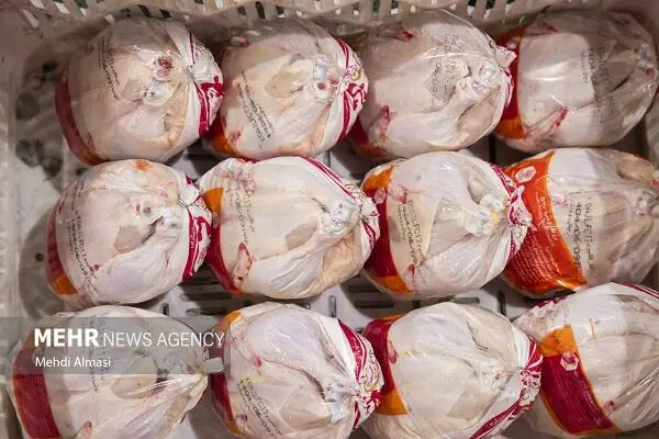 ۶ هزار تن گوشت مرغ در لرستان؛ آیا بازار به آرامش رسید؟