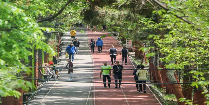 پیاده‌روی خانوادگی در گرگان؛ فرصتی طلایی برای هم‌دلی و نشاط