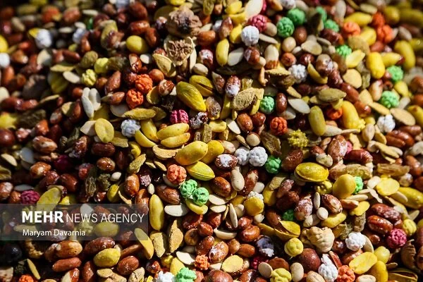 نمایشگاه شب یلدا در بندرعباس با ۲۵۰ غرفه جذاب و تخفیف‌های ویژه افتتاح شد!