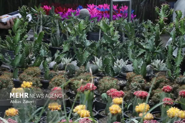 شهرداری ملارد با گلخانه‌های داخلی، نشاط شهری را افزایش داد