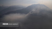 آتش‌سوزی عمدی در جنگل‌های عباس‌آباد چگونه با تلاش نیروهای منابع طبیعی مهار شد؟