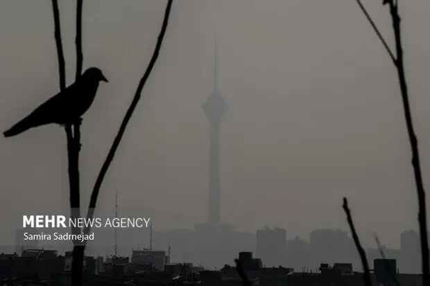 تعطیلی مدارس ابتدایی تهران شنبه به‌خاطر آلودگی هوا؛ آموزش مجازی به جای کلاس‌های حضوری!