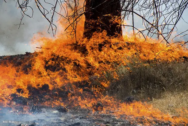 آتش‌سوزی مهیب در خط لوله اصلی گاز کرمانشاه–سراب نیلوفر؛ احتمال اختلال در تأمین انرژی!