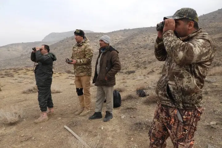 آغاز سرشماری بی‌سابقه حیات وحش در دل زمستان سرد دنای شرقی