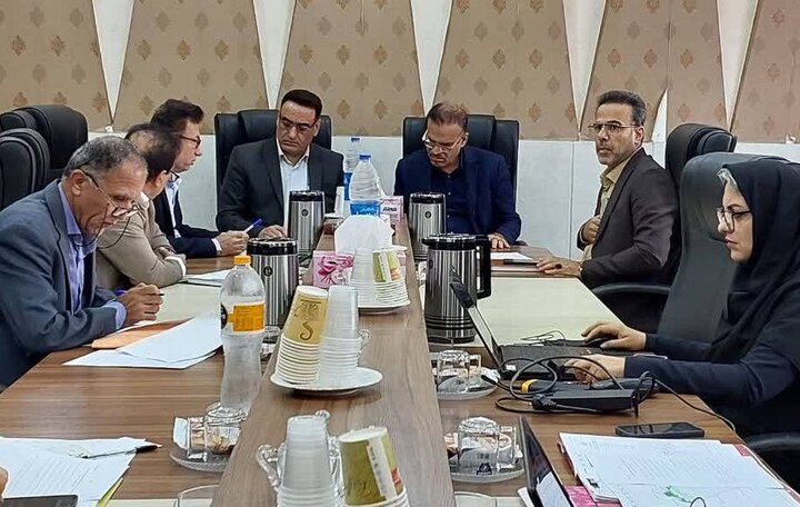 تعیین تکلیف ۲۶ هزار هکتار اراضی در تنگستان و دشتی؛ پایانی بر اختلافات مالکیتی