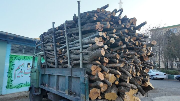 توقیف کامیونت حامل ۴ تن هیزم جنگلی قاچاق در اردبیل؛ مأموران یگان حفاظت به موقع وارد عمل شدند