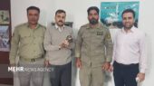 پرنده شکاری مصدوم به محیط زیست بوشهر تحویل داده شد؛ بازگشت به آغوش طبیعت در انتظار است!