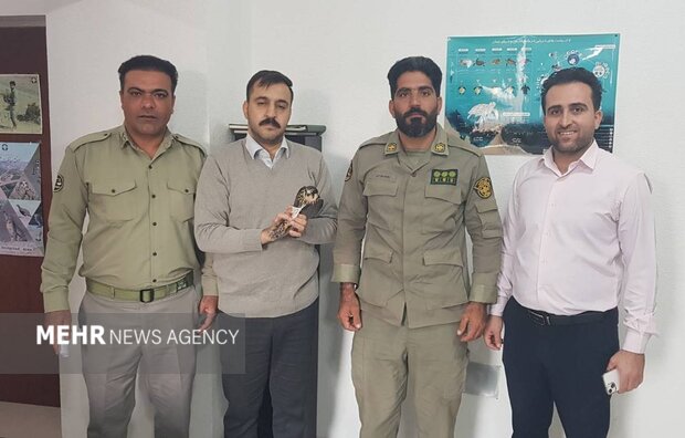 پرنده شکاری مصدوم به محیط زیست بوشهر تحویل داده شد؛ بازگشت به آغوش طبیعت در انتظار است!