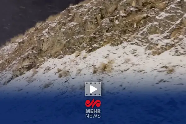 بارش برف شگفت‌انگیز در کوه مروارید آباده فارس؛ طبیعت سفیدپوش شد!