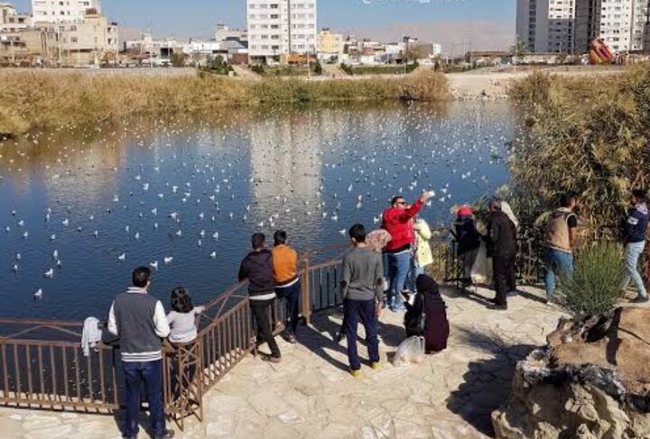 پاکسازی فوری آبگیر پارک فروزان شیراز از تهدید سگ‌های ولگرد و هجوم موش‌ها