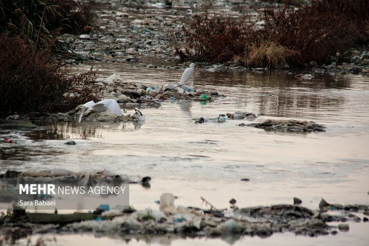 وقتی هیچکس متولی نیست؛ بلاتکلیفی مدیریتی قرهسو تا مرز بحران سلامت