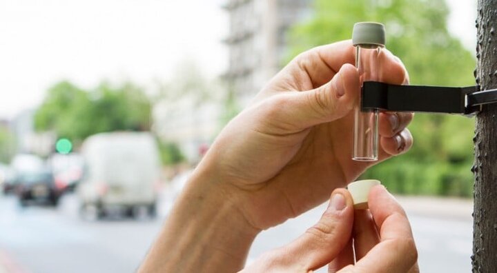 ۱۶ ابتکار جهانی برای کاهش آلودگی هوا؛ از شهر هوشمند تا جنگلهای عمودی