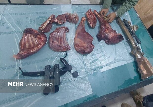 دستگیری شکارچی غیرمجاز در ارتفاعات ممنوعه دشتستان؛ عملیات پیچیده و موفقیت‌آمیز حفاظت محیط زیست