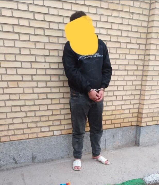 دستگیری اراذل و اوباش سابقه دار با اقتدار پلیس اردبیل