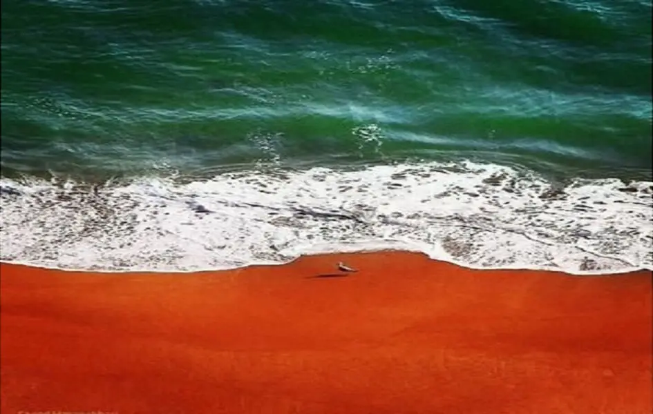 رکورد برف و بارندگی به وقت شمارش جوجههای آخر پاییز