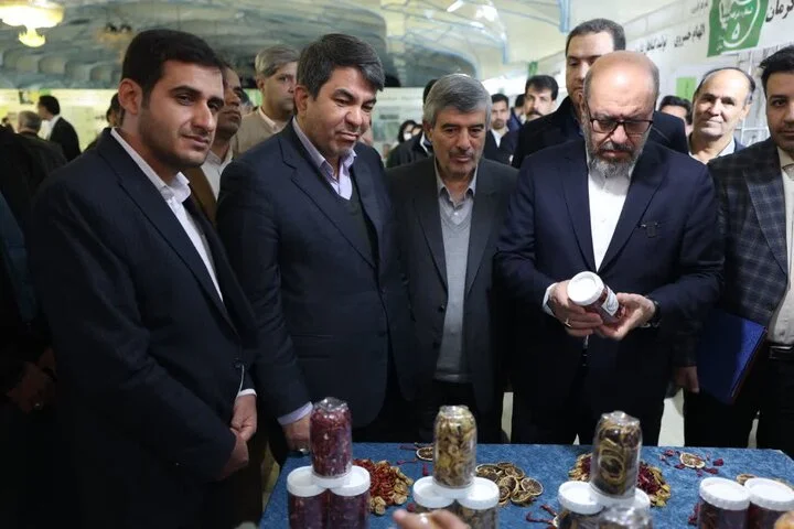 بازدید رئیس بنیاد مستضعفان ازدستاوردهای کارآفرینان بنیاد علوی در کرمان