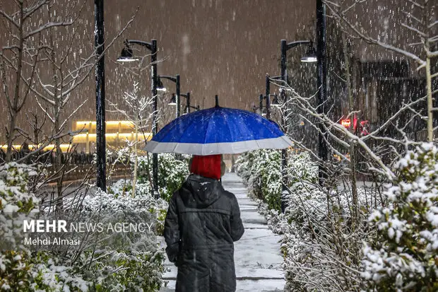 بارش برف چشمگیر در اقلید فارس؛ طبیعت سفیدپوش شد!