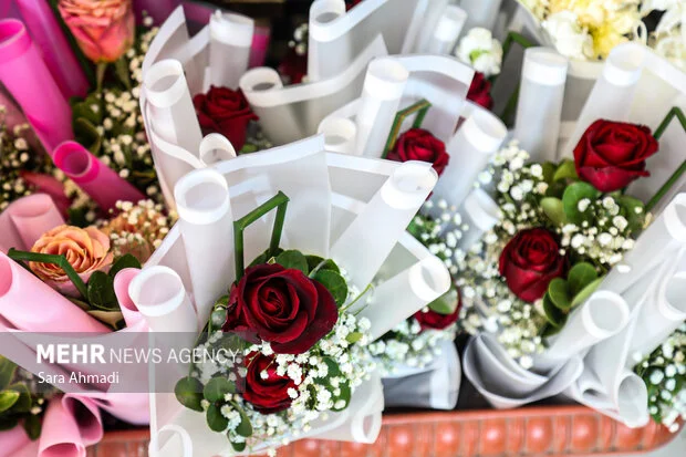 جشن باشکوه روز مادر در دلگان؛ تجلیل از مادران نمونه با احساسات ناب