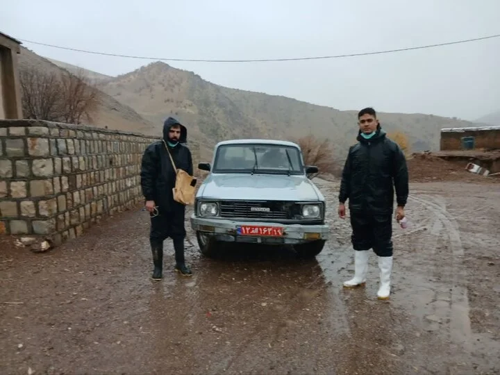 واکسیناسیون دام‌ها در هرسین برای مقابله با تب برفکی