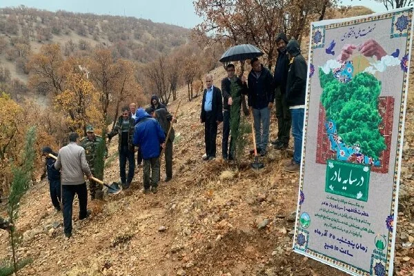 باران رحمت و نهال‌های امید در کهگیلویه و بویراحمد؛ مردم زیر باران به پاس مادران، درخت کاشتند